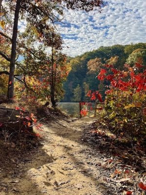 Ogle Lake Trail 7
