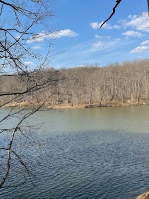 Ogle Lake Trail 7