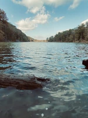 Ogle Lake Trail 7