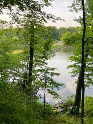 Ogle Lake Trail 7