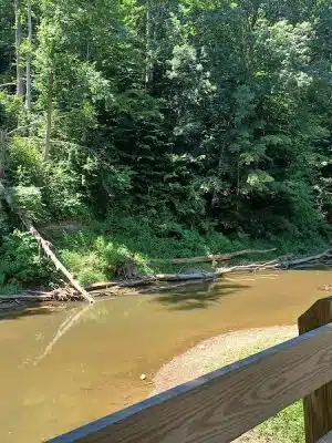 Salt Creek Trail