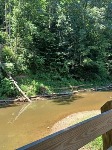 Salt Creek Trail