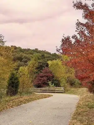 Salt Creek Trail