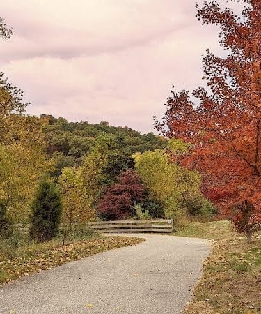Salt Creek Trail