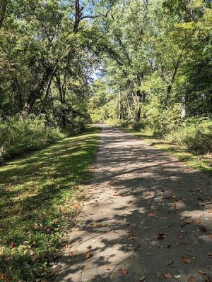 Salt Creek Trail