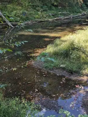 Salt Creek Trail