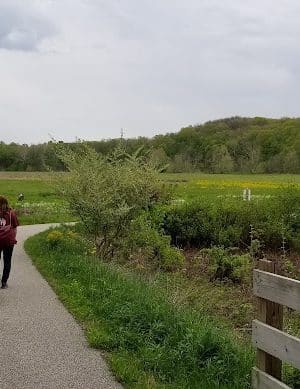 Salt Creek Trail, Nashville, Indiana