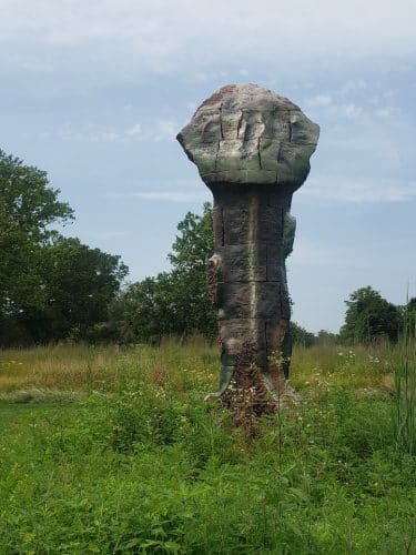 Stone Head Nature Preserve