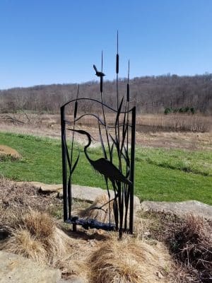 Stone Head Nature Preserve