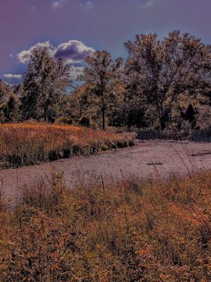 Stone Head Nature Preserve
