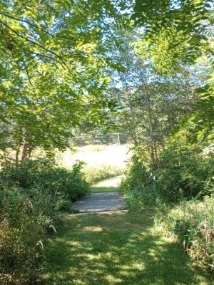 Stone Head Nature Preserve
