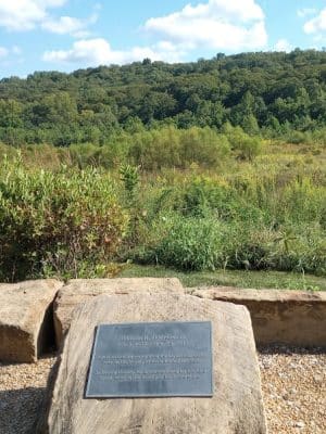 Stone Head Nature Preserve