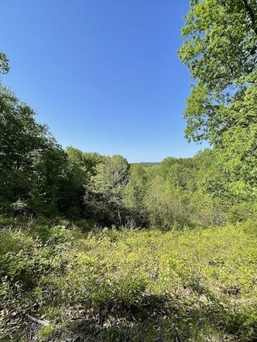 Trail 8, Brown County State Park