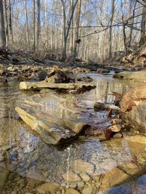 Trail 8, Brown County State Park