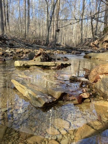 Trail 8, Brown County State Park