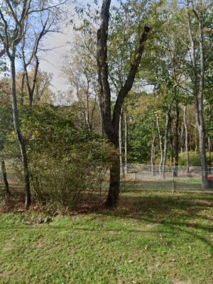 Harrison Hills Dog Park