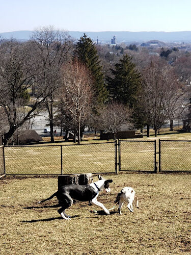 Nazareth Dog Park