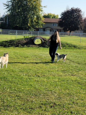 Neenah Dog Park