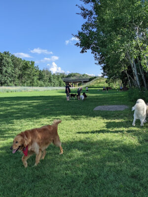 Winnebago County Dog Park