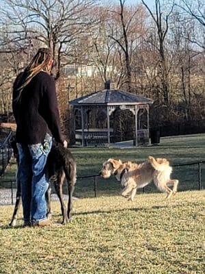 New Albany Dog Park