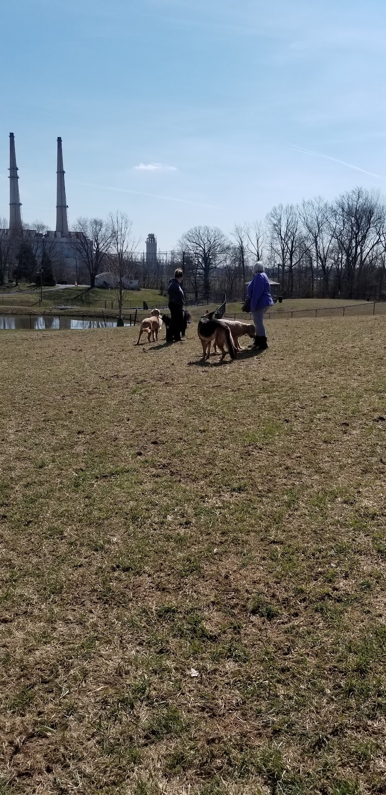New Albany Dog Park - New Albany, IN
