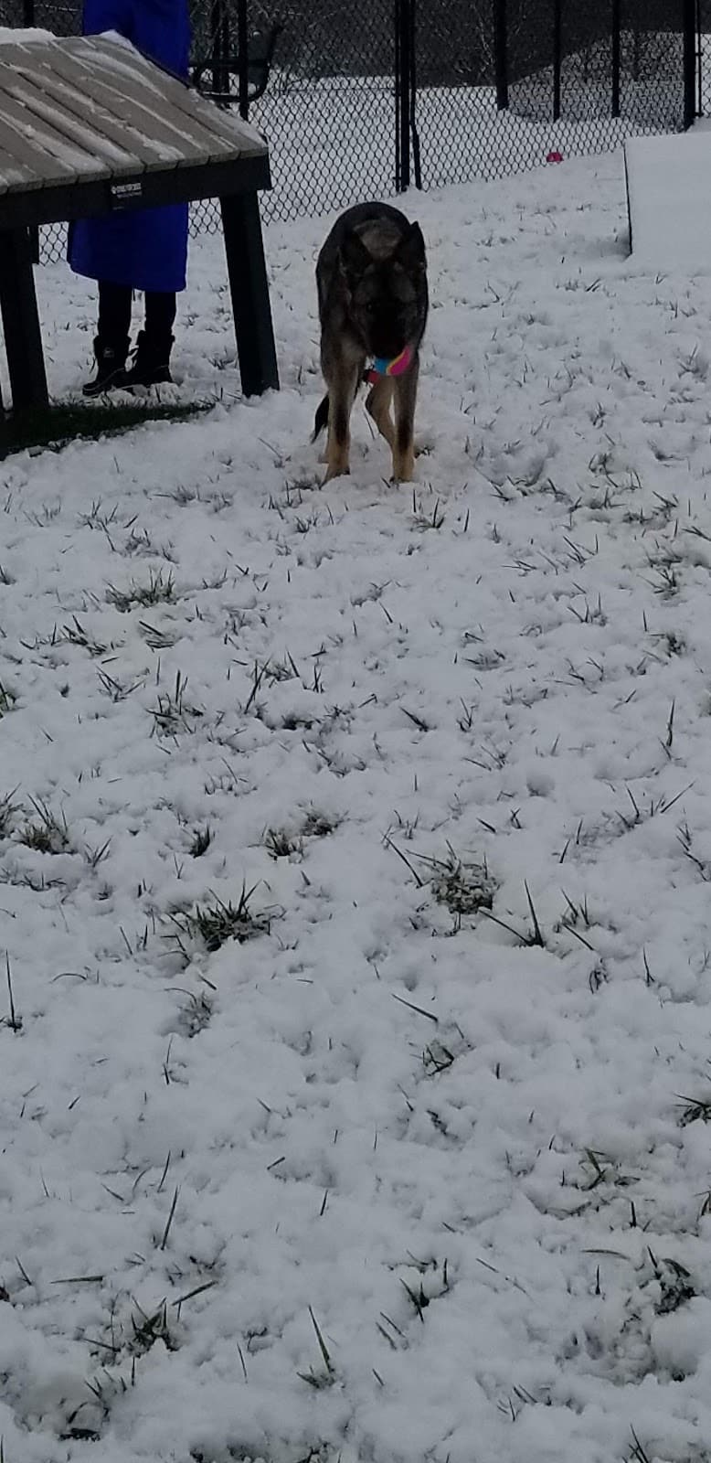 New Albany Dog Park - New Albany, IN