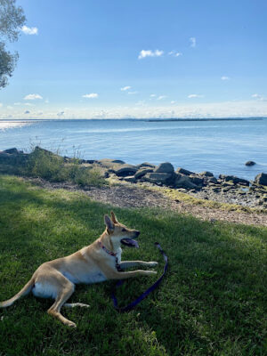 Ruedisale Point Park