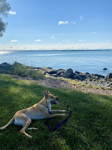 Ruedisale Point Park