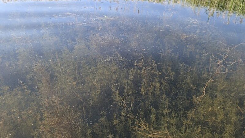 St. John's Marsh Parking Area & boat access - New Baltimore,