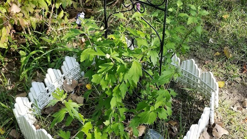 The Gazebo - New Baltimore,