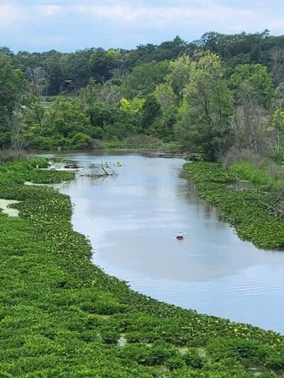 Galien River County Park - New Buffalo,