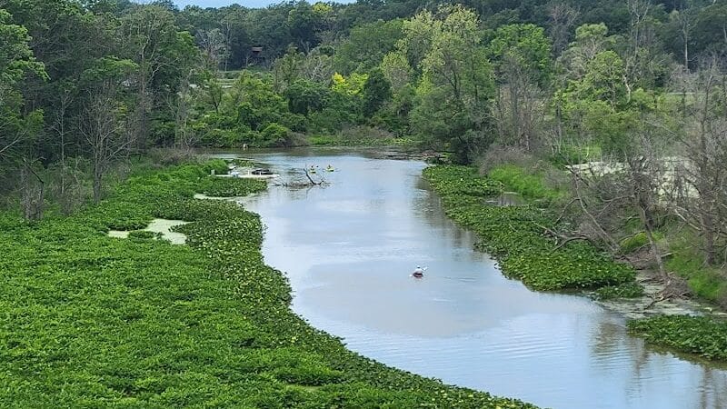 Galien River County Park - New Buffalo,