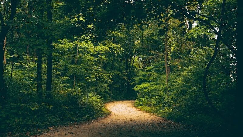 Galien River County Park - New Buffalo,