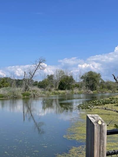 Galien River County Park - New Buffalo,