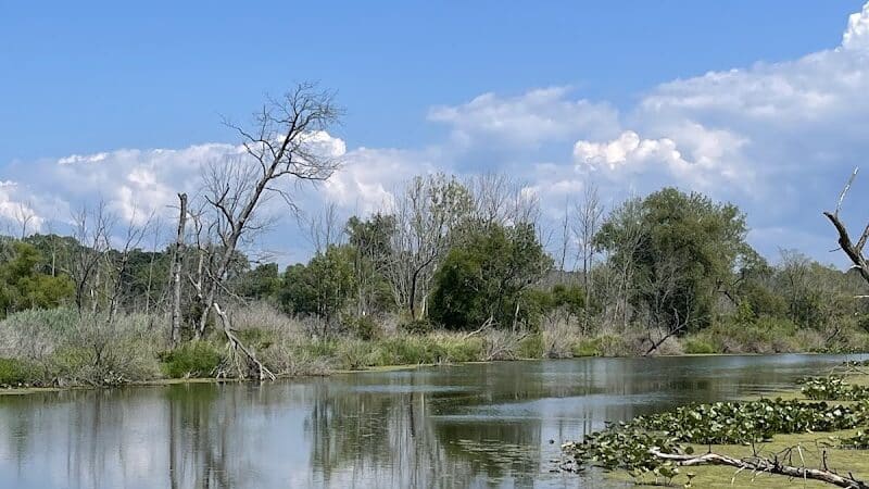 Galien River County Park - New Buffalo,