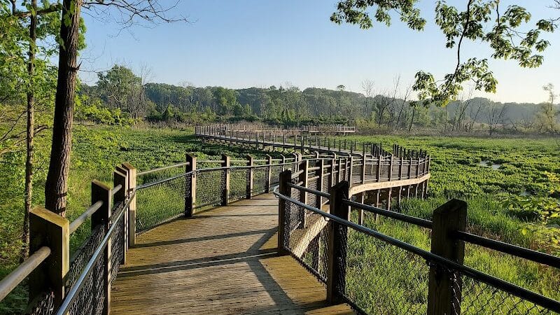 Galien River County Park - New Buffalo,