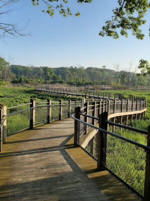 Galien River County Park