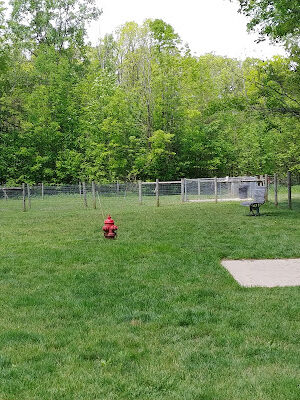 Sari Asher Memorial Dog Park