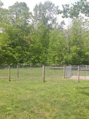 Sari Asher Memorial Dog Park