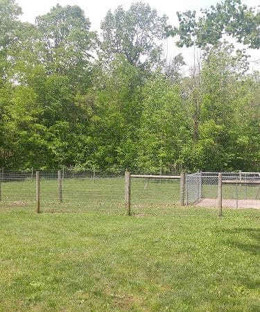 Sari Asher Memorial Dog Park