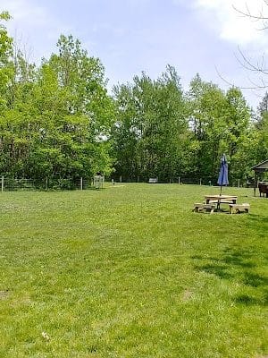 Sari Asher Memorial Dog Park