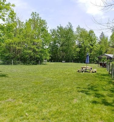 Sari Asher Memorial Dog Park