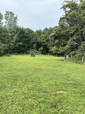 Sari Asher Memorial Dog Park