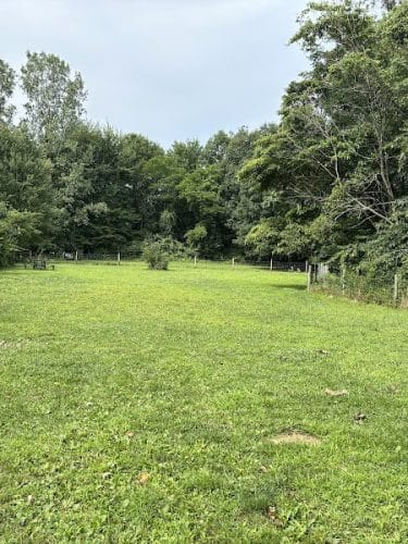 Sari Asher Memorial Dog Park