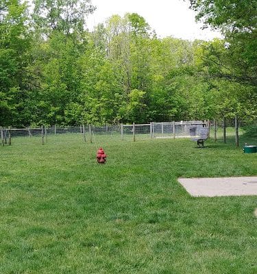 Sari Asher Memorial Dog Park
