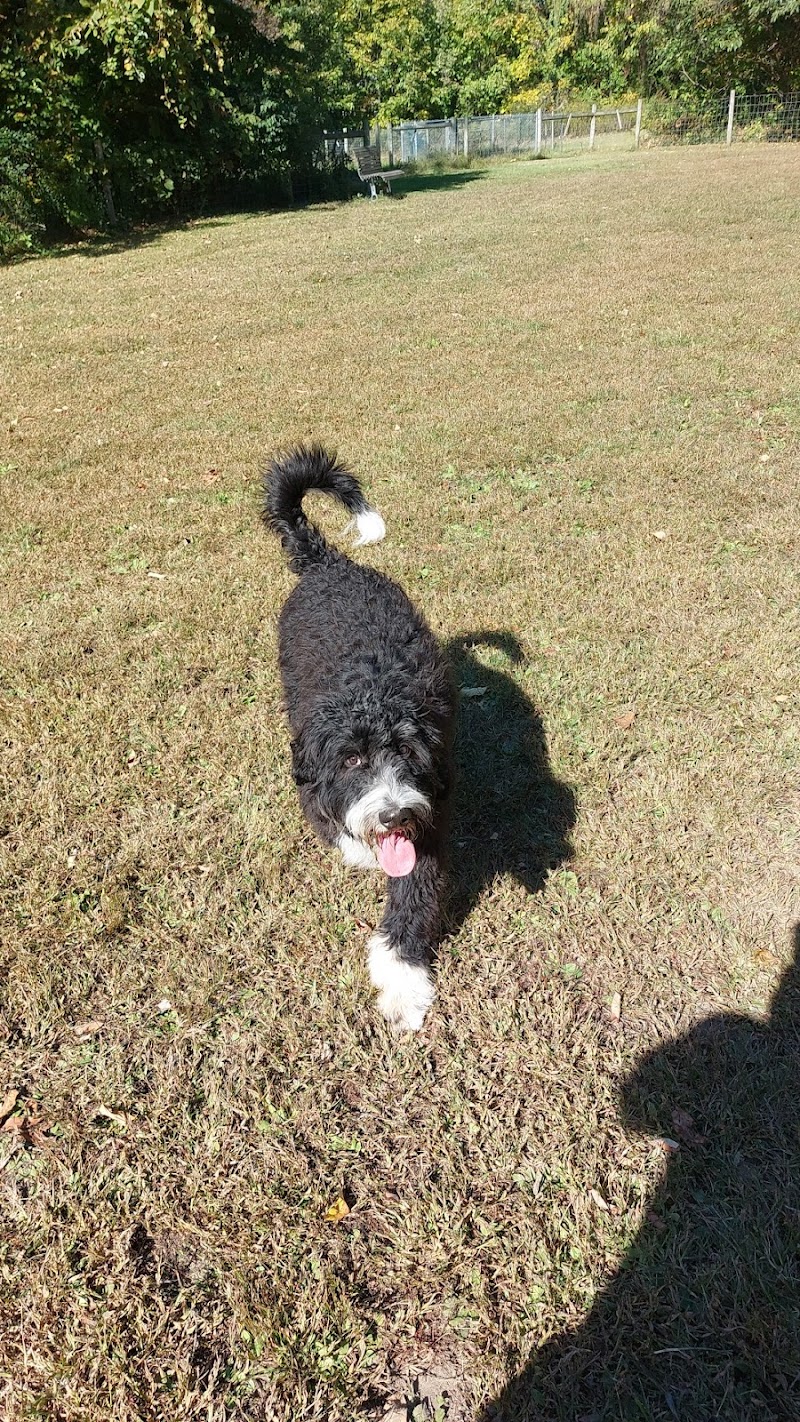 Sari Asher Memorial Dog Park - New Buffalo, MI