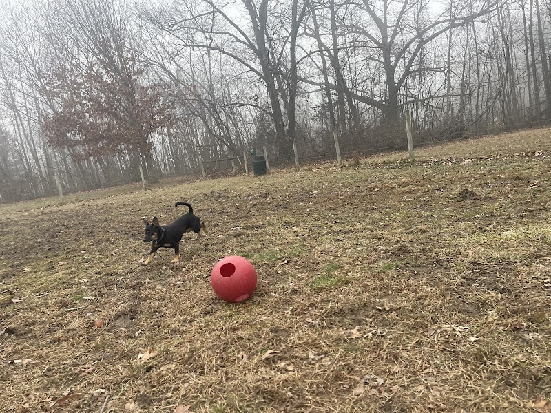 Sari Asher Memorial Dog Park - New Buffalo, MI