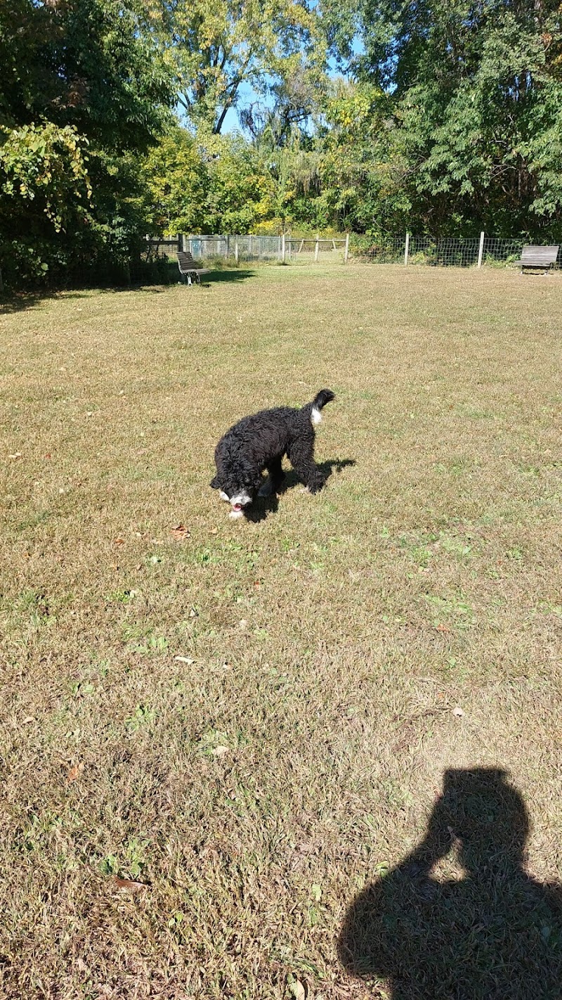 Sari Asher Memorial Dog Park - New Buffalo, MI