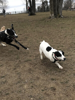 Spencer's Run