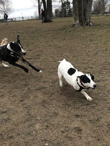 Spencer's Run
